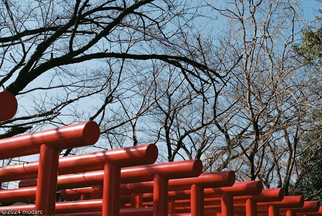 いつかの千本鳥居