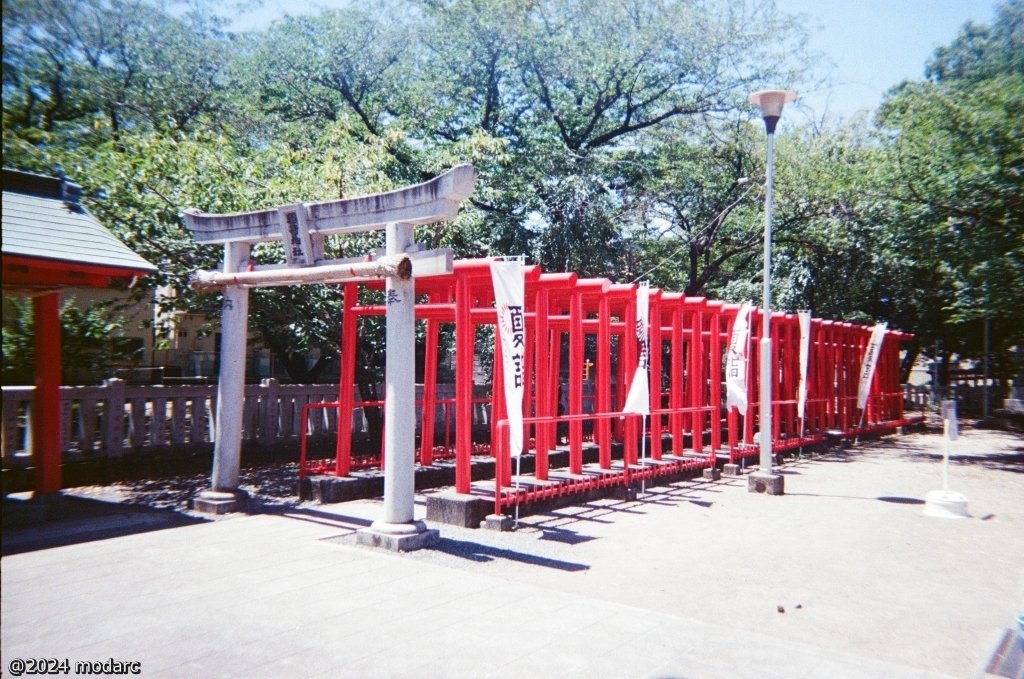 Senbon-torii (gateway) in summer.