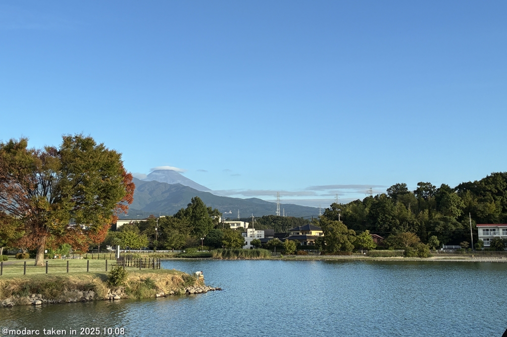 定点観測 (251008)