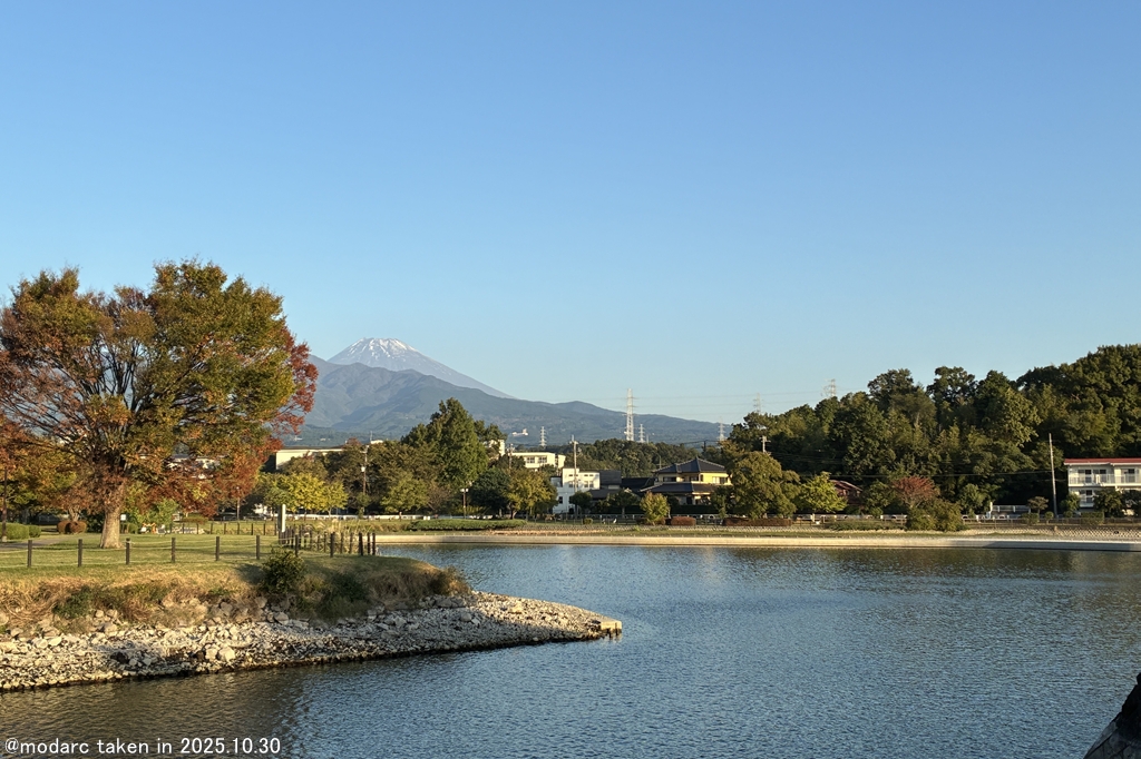 定点観測 (251029)