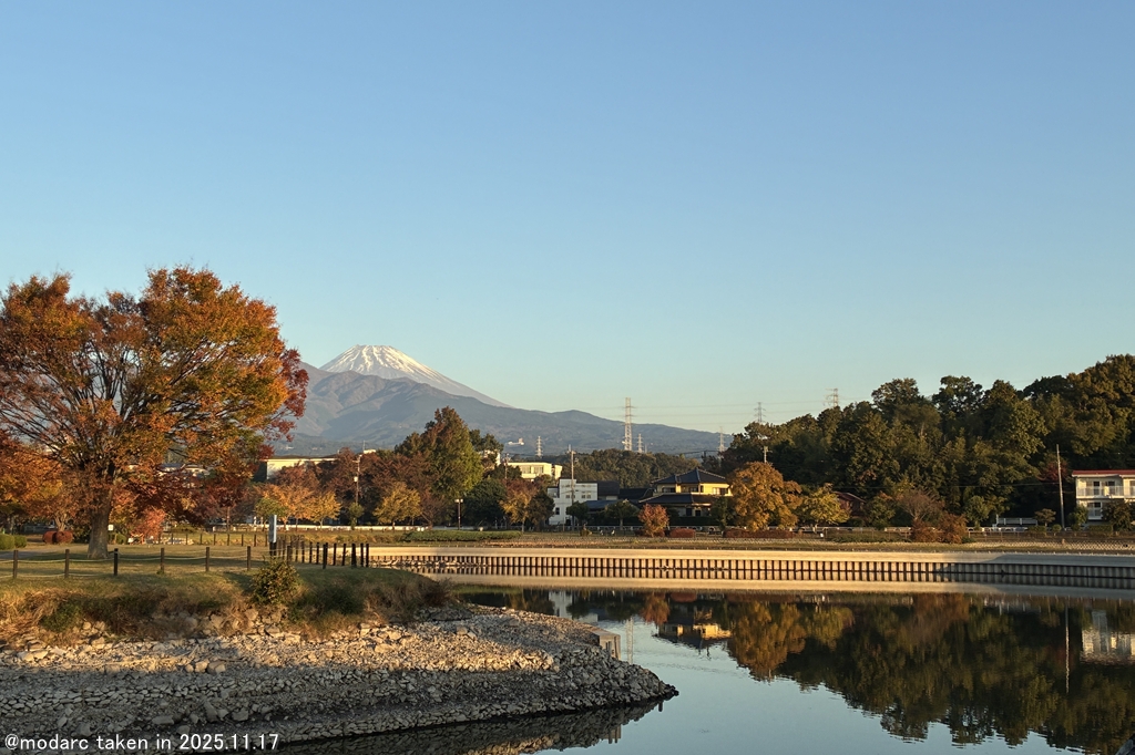 定点観測 (251117)