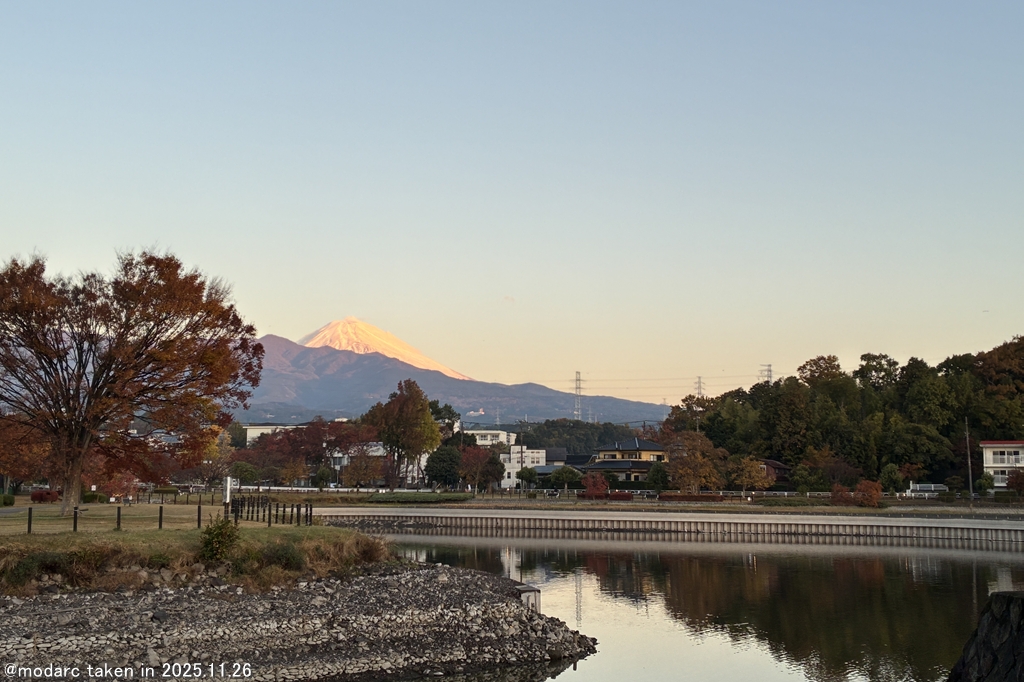 定点観測 (251126)