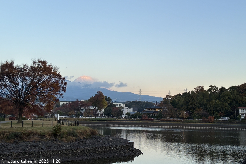 定点観測 (251128)
