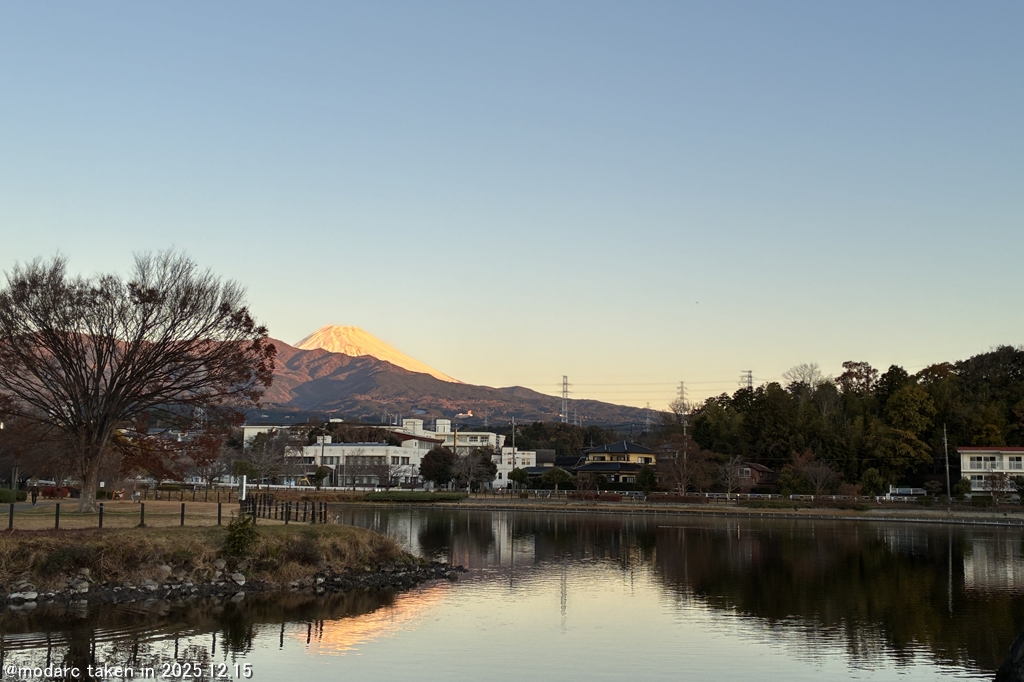 定点観測 (251214)